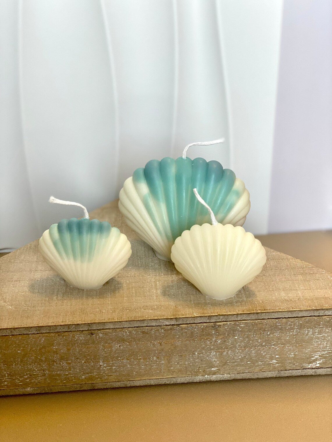 Handmade Soy Wax Shell Candles