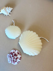 Handmade Soy Wax Shell Candles